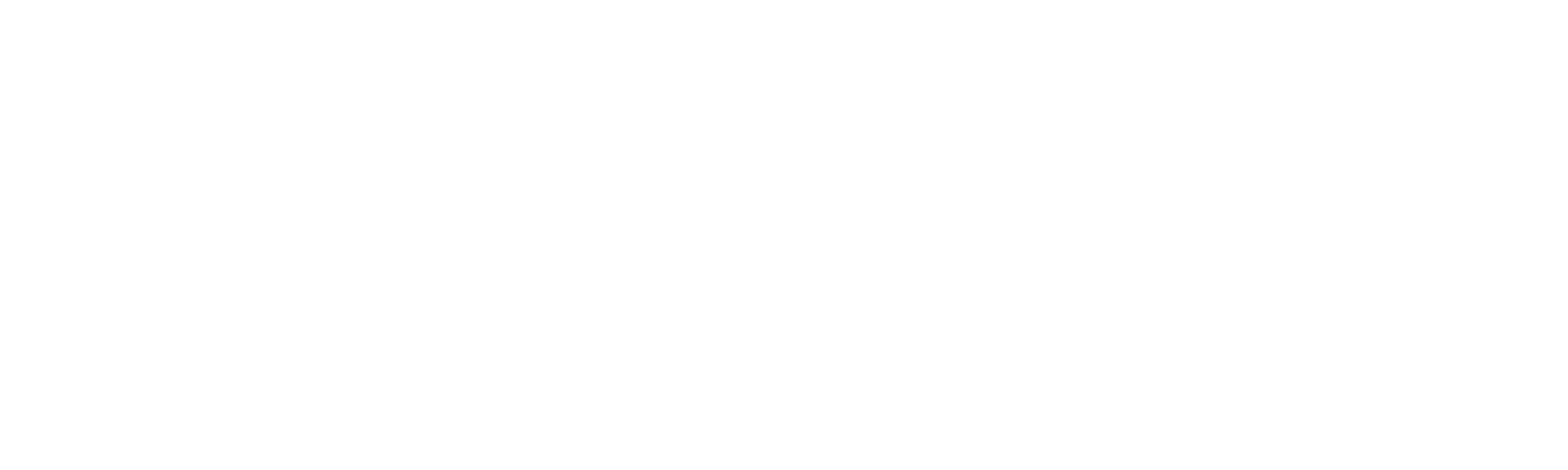 RUG IT! Tapetes e Interiores